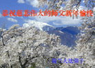 Published on 1/1/2007 󷨵ӹףʦ֣ 