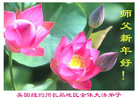 Published on 1/1/2007 󷨵ӹףʦ֣ 