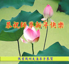 Published on 2/7/2008 󷨵ʦ꣨һ
