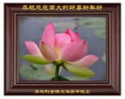 Published on 2/7/2008 󷨵ʦ꣨һ