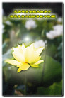 Published on 1/2/2008 󷨵ӹףʦ֣