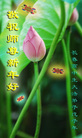 Published on 2/7/2008 Сӹףȱΰʦ֣