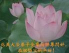 Published on 2/8/2008 海外大法弟子向师尊拜年（二十一）