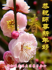 Published on 2/8/2008 海外大法弟子向师尊拜年（二十一）