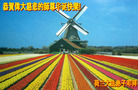 Published on 5/13/2008 󷨵ף編ִʦٳһ