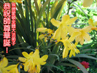 Published on 5/14/2008 󷨵ף編ִʦٳ