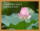 Published on 1/1/2010 ֹ,޴󷨵ӾףʦԪ - ִ - minghui.org