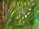 Published on 5/13/2009 ޴󷨵Ӿʦ𻪵ߴ󷨺鴫ʮ