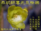 Published on 1/1/2010 ֹ,޴󷨵ӾףʦԪ - ִ - minghui.org