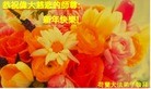 Published on 1/1/2011 ֹ,ŷ޴󷨵ӹףʦԪ - ִ
