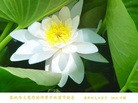 Published on 9/12/2011 ֹ,󷨵ӹףʦ - ִ

