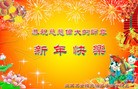 Published on 2/3/2011 法轮功,欧洲大法弟子恭祝师尊新年好 - 法轮大法明慧网
