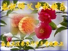ֹ,󷨵ӹףʦ(22)
