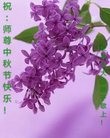 ֹ,󷨵ӹףʦ(22)
