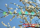 Published on 2/7/2008 /󷨵ʦ꣨һ