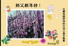 Published on 12/31/2009 ֹ,СӾףʦԪ֣ - ִ - minghui.org