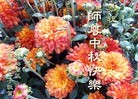 Published on 9/30/2012 ֹ,󷨵ӹףʦ
