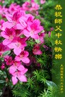 Published on 9/30/2012 ֹ,󷨵ӹףʦ
