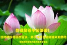 ֹ,󷨵ӹףʦ

