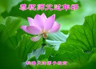 法轮功,南非、秘鲁等海外大法弟子恭祝师父过年好 【明慧网】

