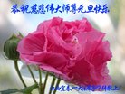 ֹ,󷨵ӹףʦ(21)