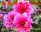 ֹ,ʡ󷨵ӹףʦ(26)
