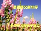 ֹ,ʡ󷨵ӹףʦ(26)
