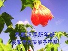 ֹ,ʡ󷨵ӹףʦ(26)
