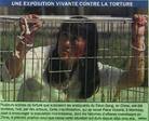 加拿大《都市》报：反酷刑真人展（图）
