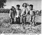 Published on 10/7/2011 法轮功,压不倒的稻子和烧不坏的雪碧瓶 - 法轮大法明慧网
