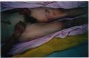Published on 10/30/2000 ֹ,ͼƬ󷨵类Ź֤
