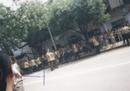 Published on 5/23/2001 99722йڽͷĿֲ
