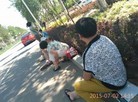 Published on 7/7/2015 法轮功,光天化日　女律师被法警暴力扔到大街上 【明慧网】

