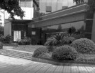 ֹ,Ƿꡡݽʦټͼ - ִ - minghui.org
