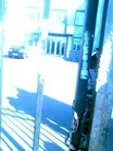 ִ - ԺǷͥ־աʦ绤ͼ