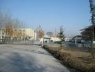ֹ,ӱˮ־Ƿͽ̡ϸζ飨ͼ - ִ - minghui.org