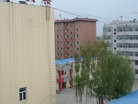 ֹ,һ¶ʮմ½ۺϢ - ִ - minghui.org