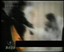 Published on 9/12/2001 ԡԷ١¼һ
