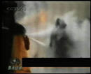 Published on 9/12/2001 ԡԷ١¼һ
