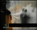 Published on 9/12/2001 ԡԷ١¼һ
