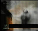Published on 9/12/2001 ԡԷ١¼һ
