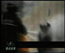 Published on 9/12/2001 ԡԷ١¼һ
