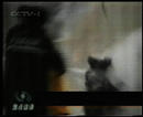 Published on 9/12/2001 ԡԷ١¼һ
