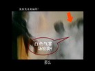 Published on 5/23/2012 法轮功,让录像说话：自焚者刘春玲是被警察用灭火器打死的 - 法轮大法明慧网
