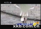 Published on 9/5/2007 CCTVս᡹뵽ģͼ