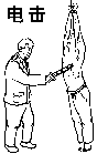 Published on 4/3/2007 