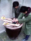 Published on 4/23/2010 ֹ,ͽʱݣ - ִ - minghui.org