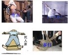 ֹ,ҿĥѴ˸£ͼ - MingHui.org ִ