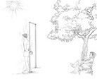 Published on 8/20/2012 ֹ,̴ݲСɽũ - ִ
