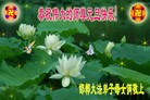 Published on 12/31/2013 ֹ,ӱ󷨵ӹףʦԪ(22)
